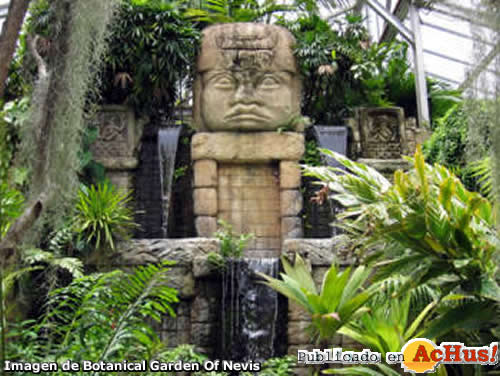 Mayan Waterfall