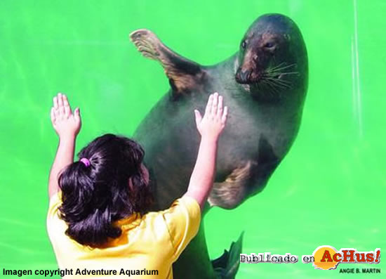 Adventure Aquarium 02