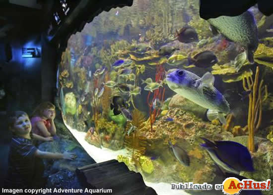 Adventure Aquarium 08
