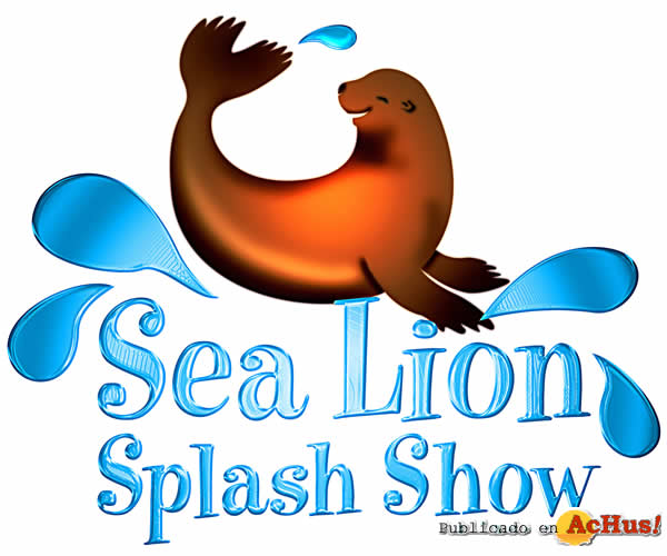 Sea Lion Splash