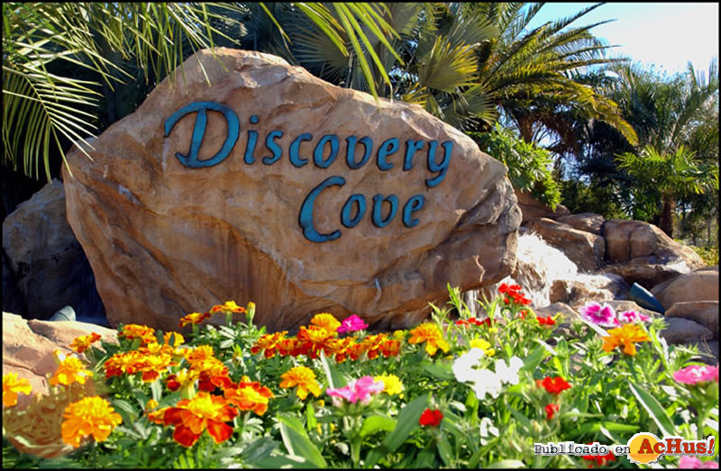 Discovery Cove 03