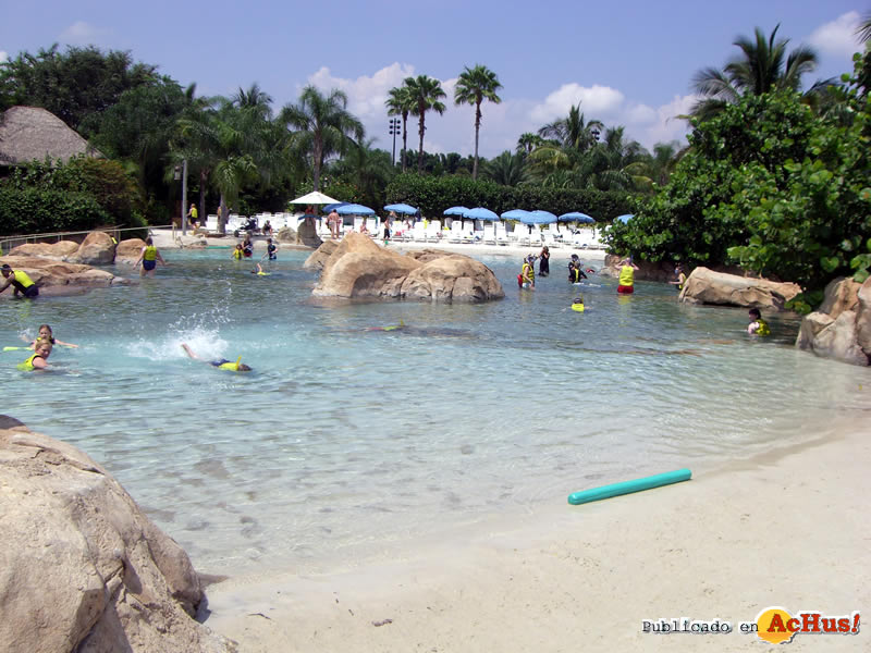 Resort Pool 03