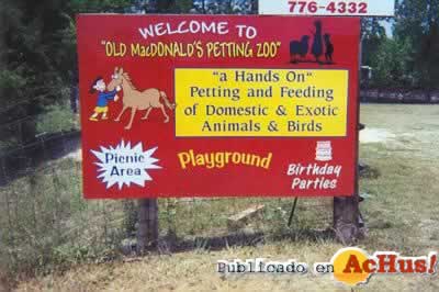 Old MacDonalds Petting Zoo 09
