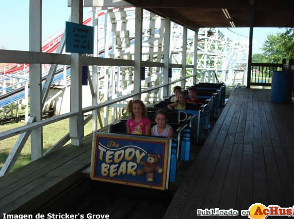 Teddy Bear Roller Coaster2