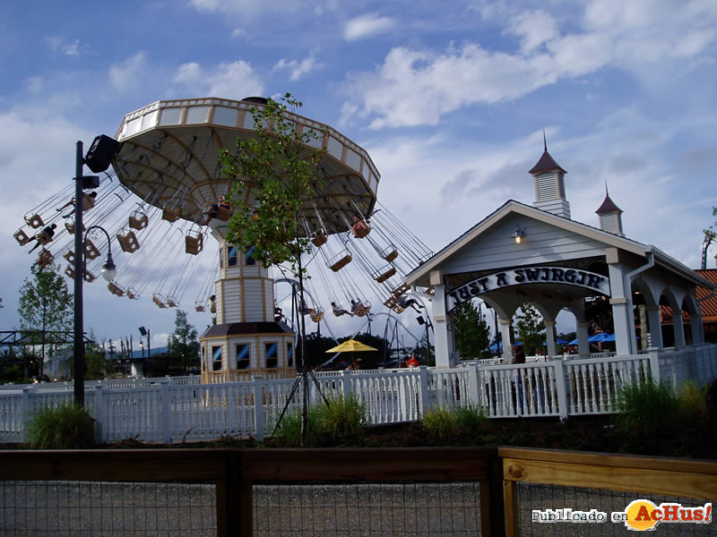 Imagen de Hard Rock Park Just A Swingin 07