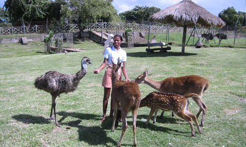 Casela Nature Leisure Park 08