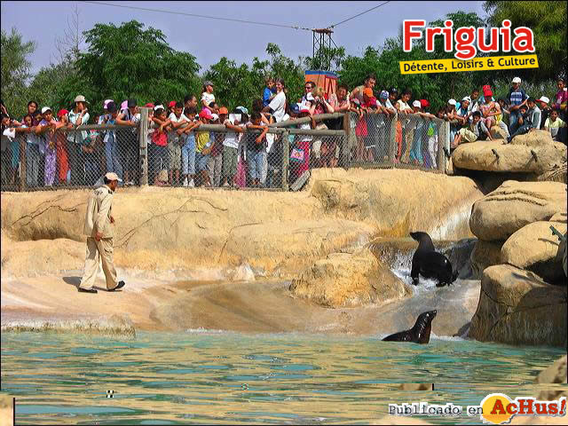 Friguia 01