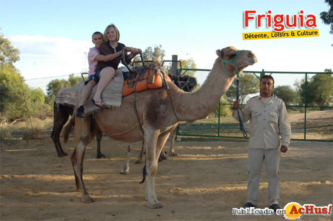 Friguia 02