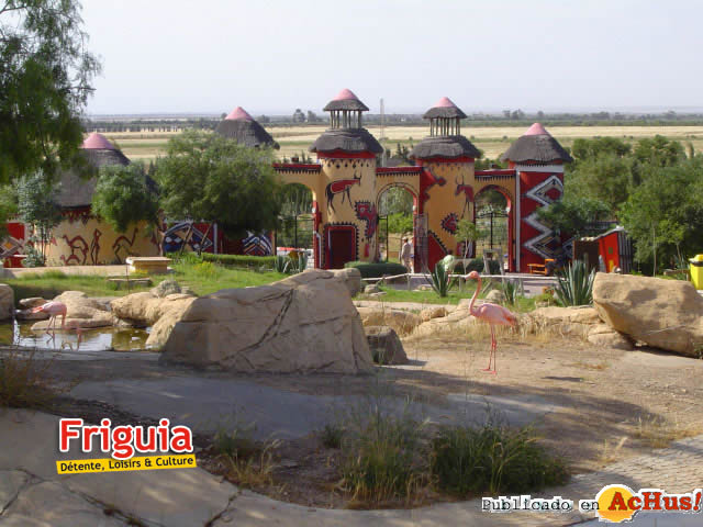 Friguia 11