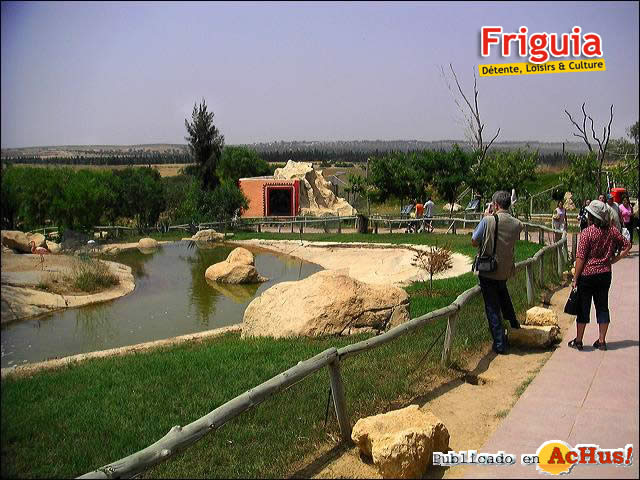 Friguia 12