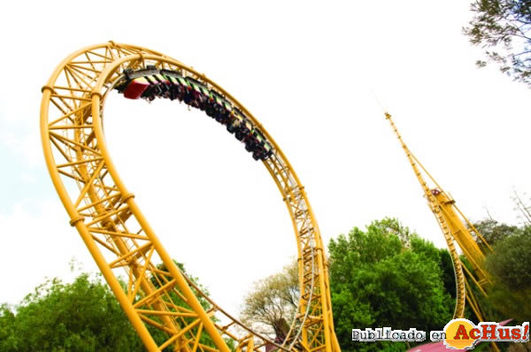 Golden Loop