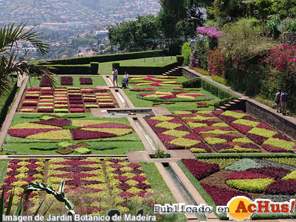 Jardin Botanico 02