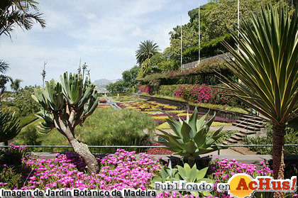 Jardin Botanico 03