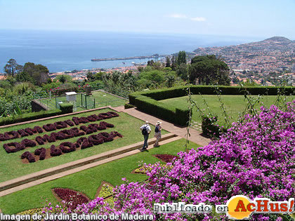 Jardin Botanico 05