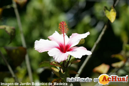 Jardin Botanico 06