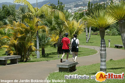 Jardin Botanico 07