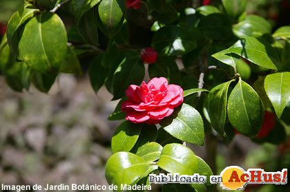 Jardin Botanico 08