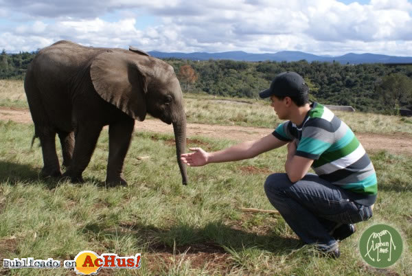 Knysna Elephant Park 06