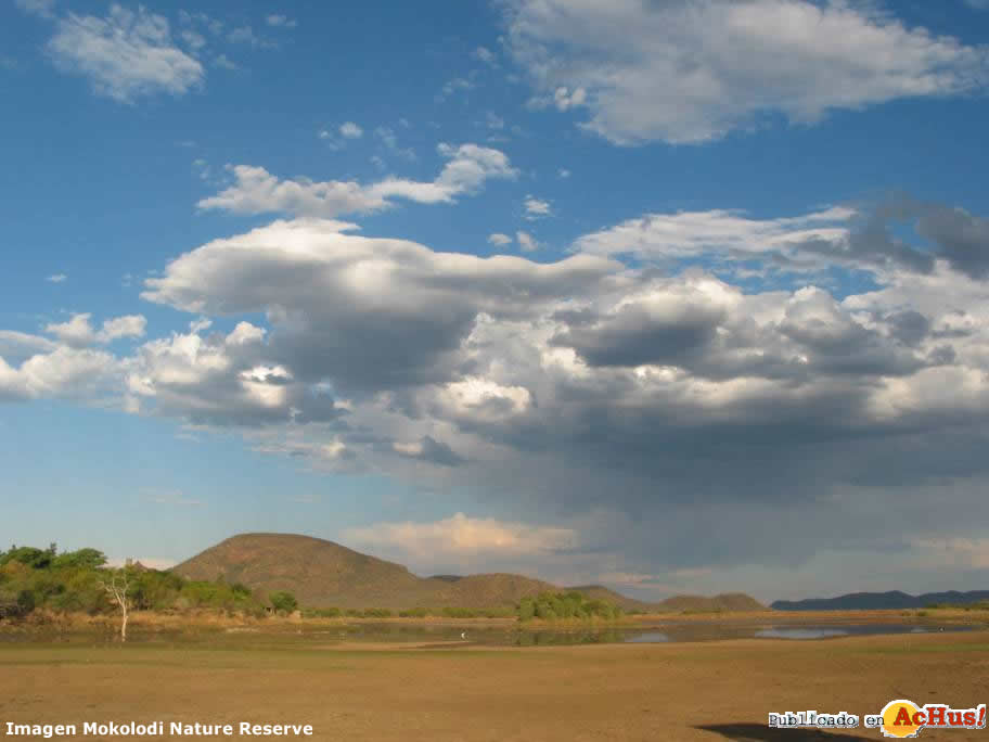 Mokolodi Nature Reserve 04