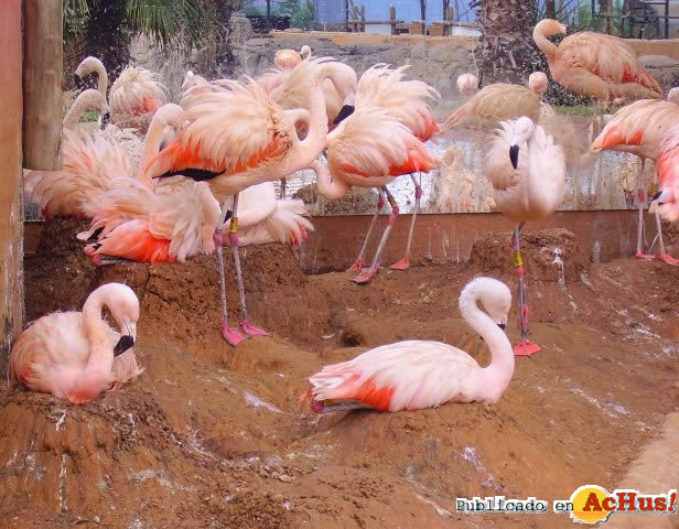 National Zoological Gardens 07