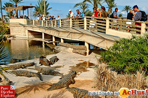 Parc Djerba 05