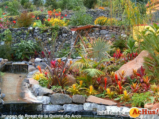 Rosal Quinta Arco 01
