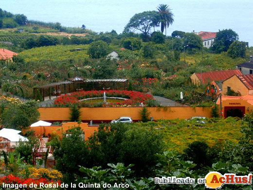 Rosal Quinta Arco 03