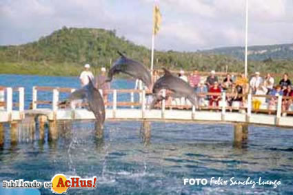 Cayo Naranjo 04