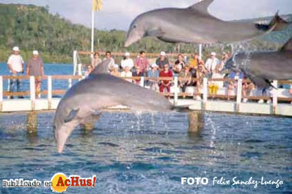 Cayo Naranjo 07