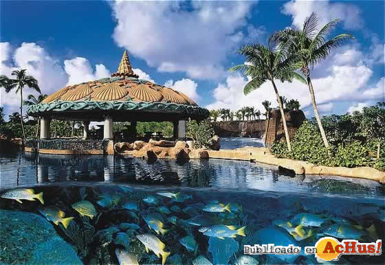 Lagoon Bar and Grill