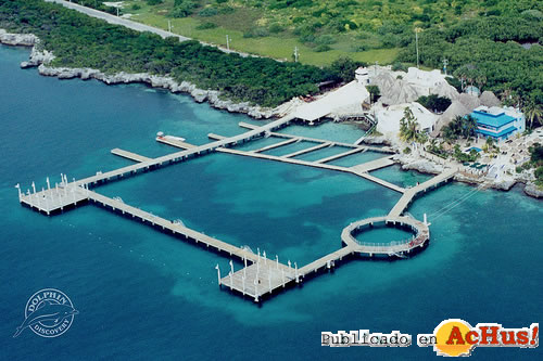 Dolphin Discovery Mexico