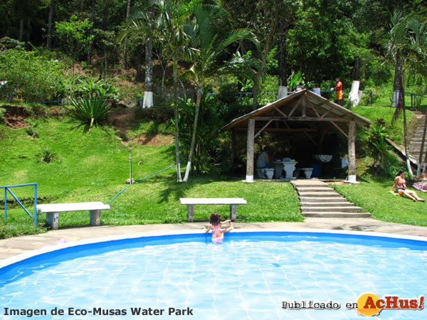 Eco Musas 02