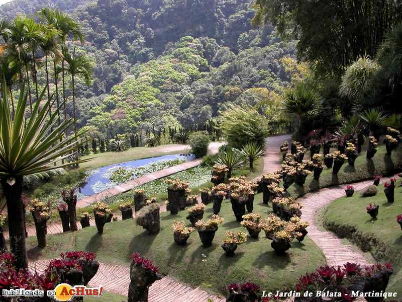 Jardin 01