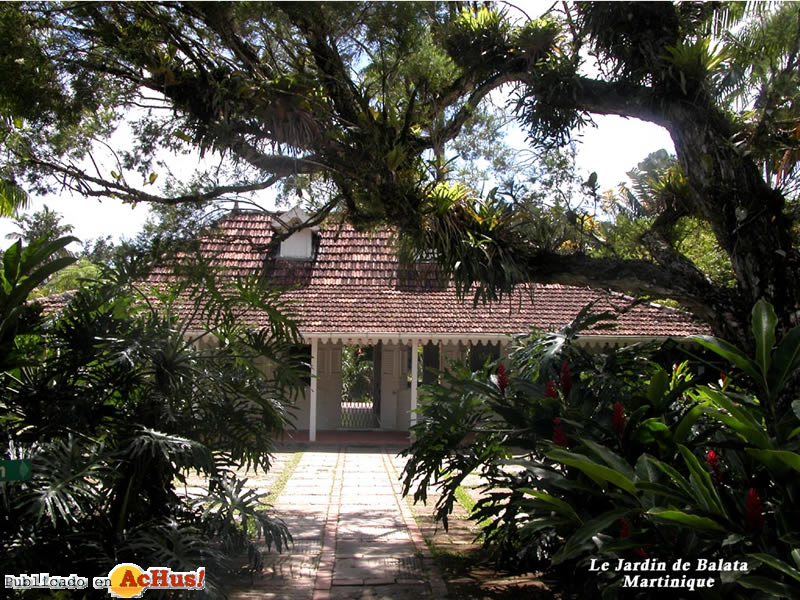 Jardin 03
