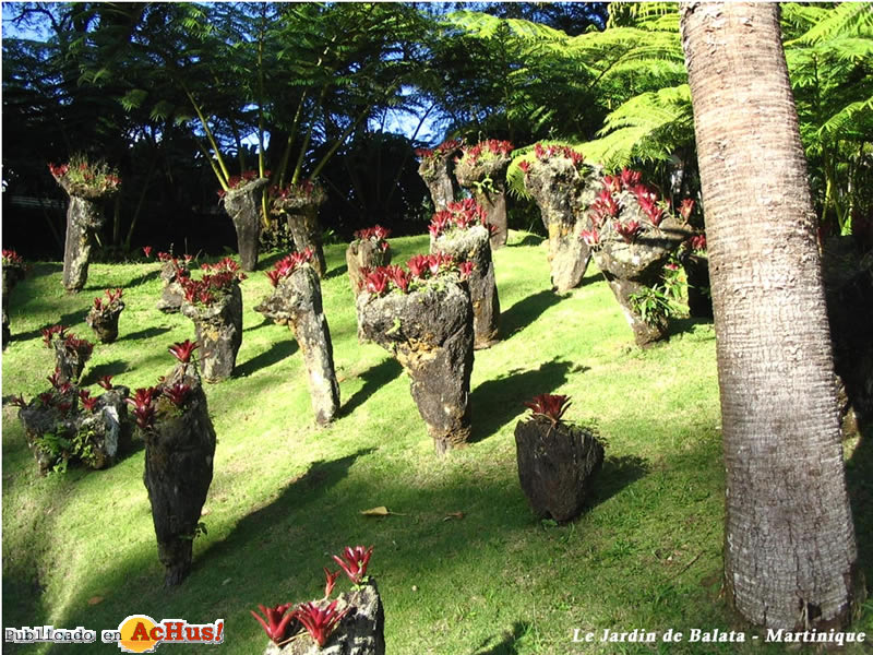 Jardin 05