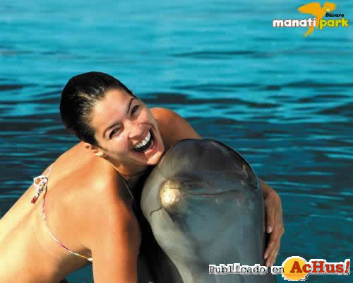delfin 01