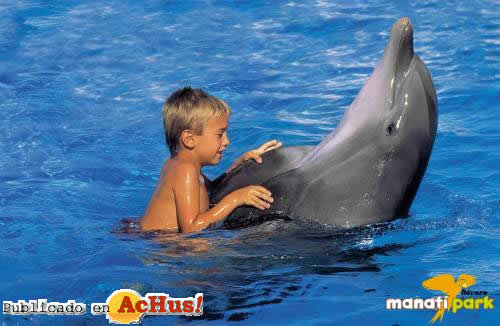 delfin 02