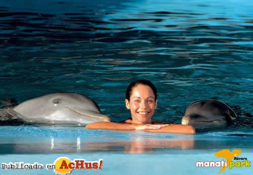 delfin 03