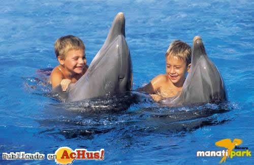 delfin 04
