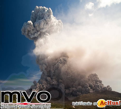 mvo 04