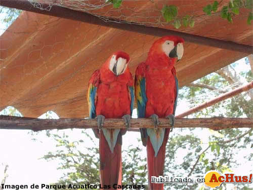 Las Cascadas 02