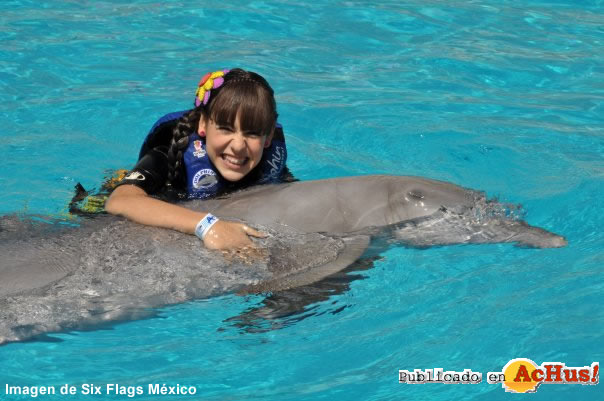 Six Flags Mexico/Nadar con los delfines 