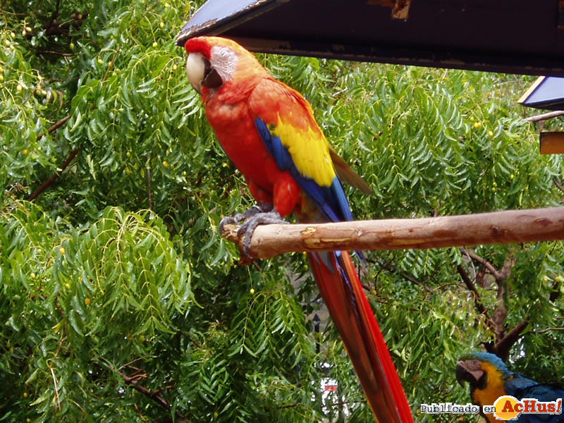 St Maarten Park 01