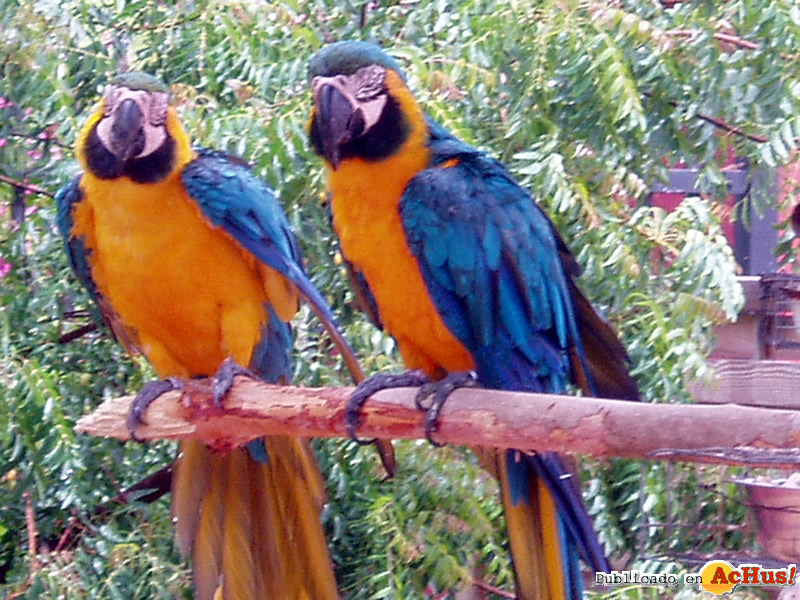 St Maarten Park 03