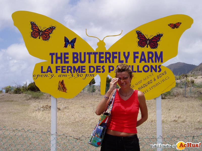 The Butterfly Farm 08