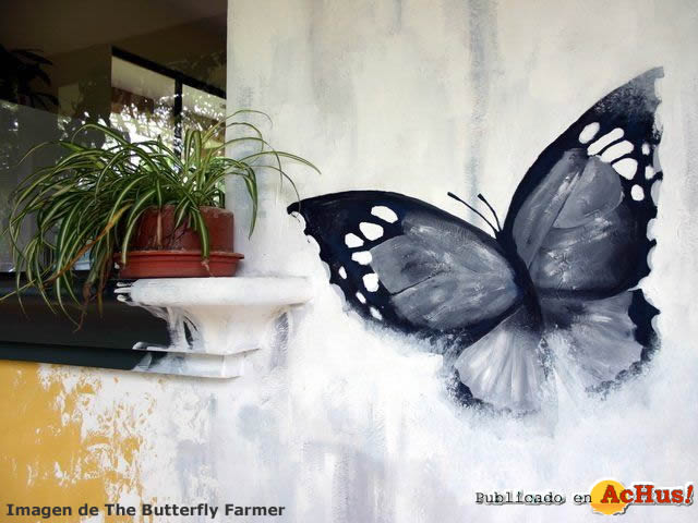 Butterfly-05.jpg