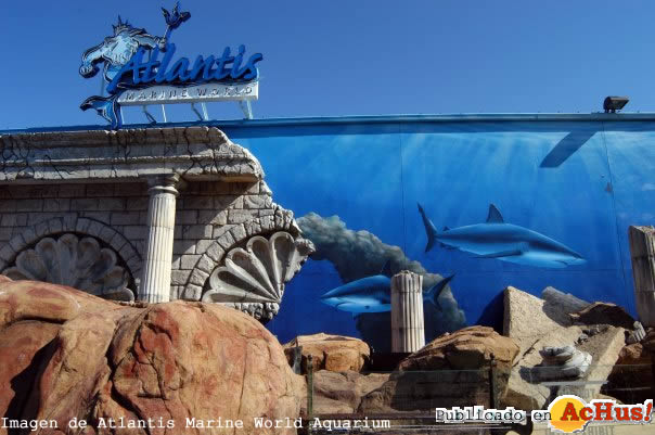 Atlantis Marine World Aquarium 04