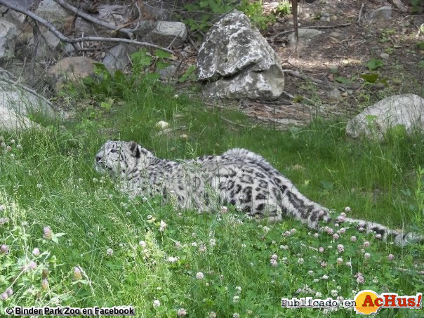 Binder Park Zoo 02