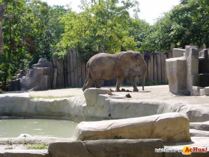 Brookfield Zoo 32