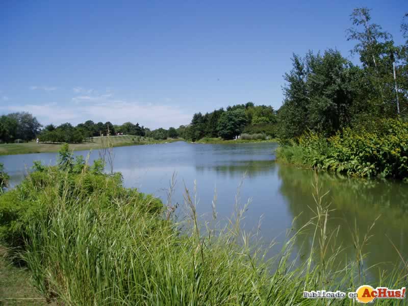 Chicago Botanic Garden 04